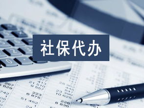 优化财务服务供应链 邮编商务网打造一站式财务咨询与供需枢纽